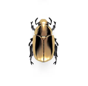 Beetle Brooch - 18ct Yellow Gold & Titanium