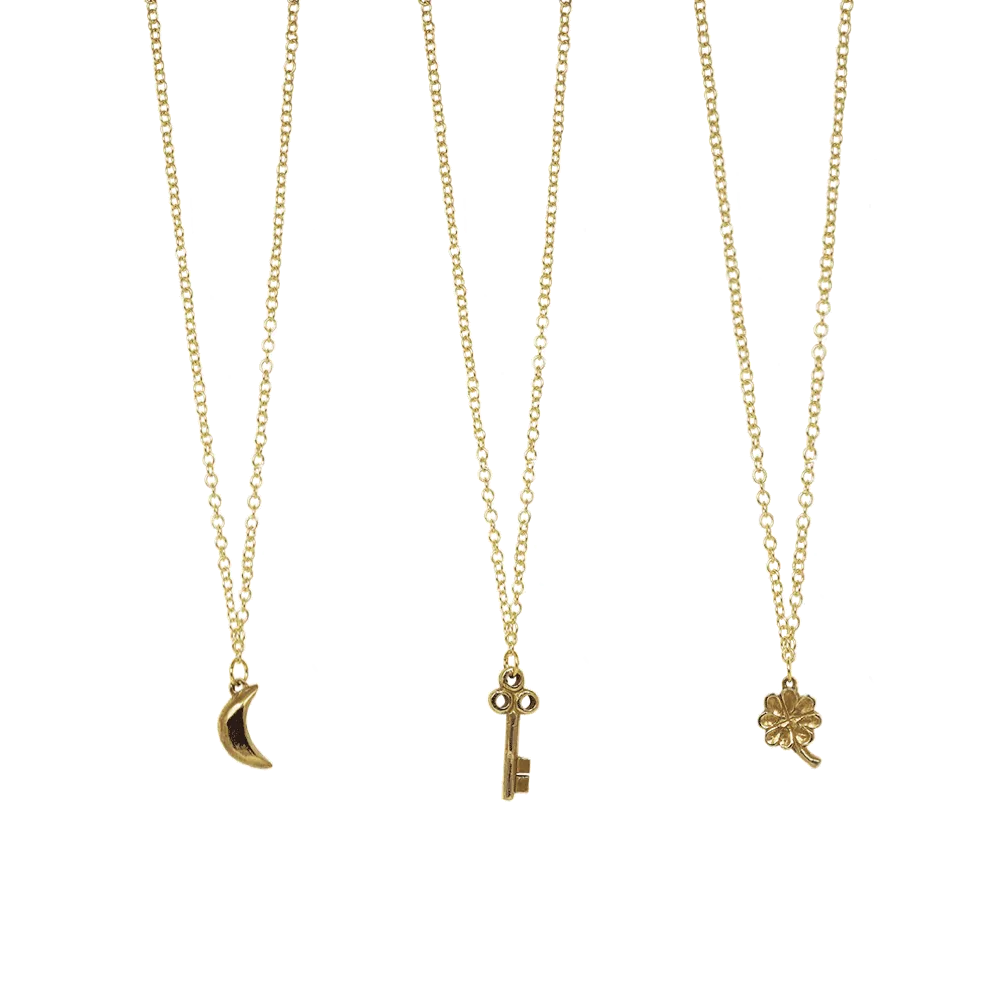 Delicate Charm Necklace