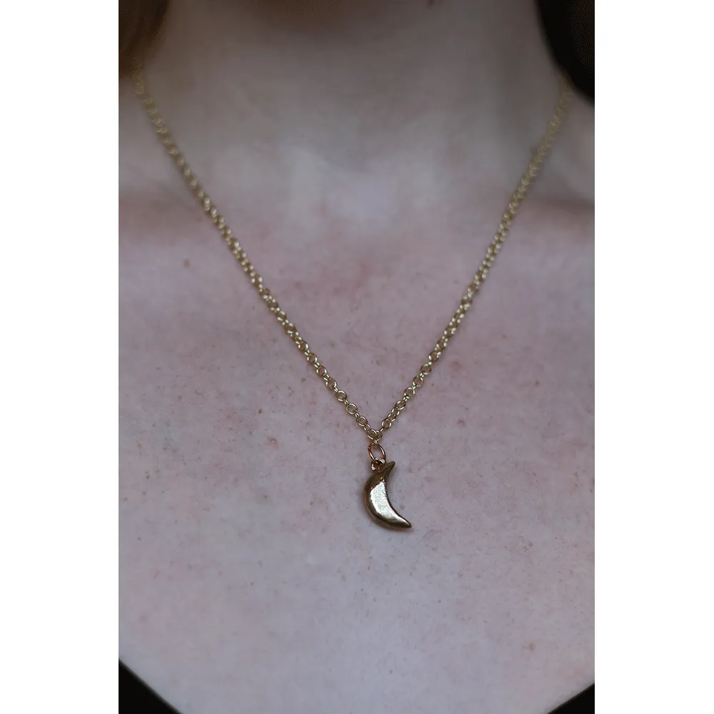 Delicate Charm Necklace