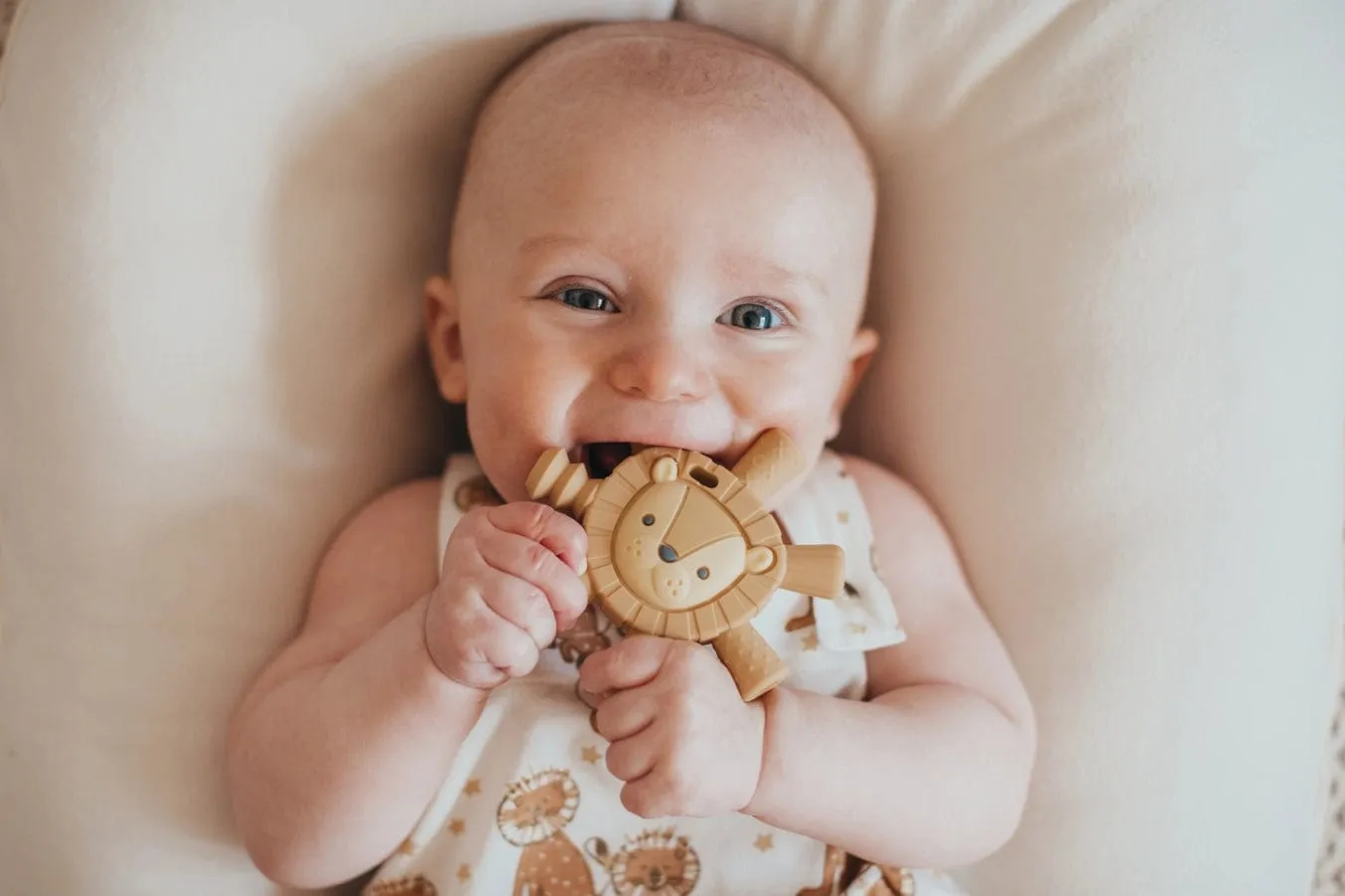 Lion Ritzy Teether™ Baby Molar Teether